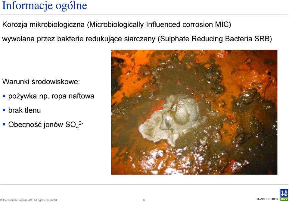 siarczany (Sulphate Reducing Bacteria SRB) Warunki