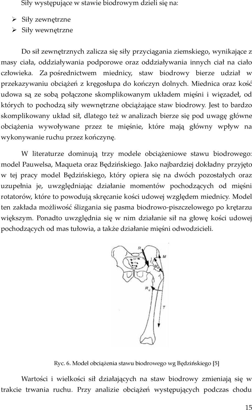 Miednica oraz kość udowa są ze sobą połączone skomplikowanym układem mięśni i więzadeł, od których to pochodzą siły wewnętrzne obciążające staw biodrowy.