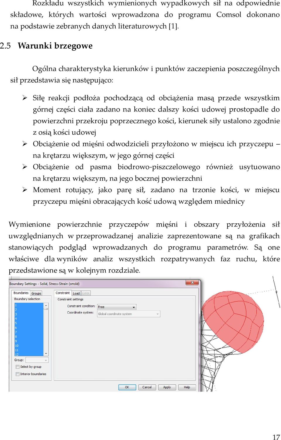 części ciała zadano na koniec dalszy kości udowej prostopadle do powierzchni przekroju poprzecznego kości, kierunek siły ustalono zgodnie z osią kości udowej Obciążenie od mięśni odwodzicieli