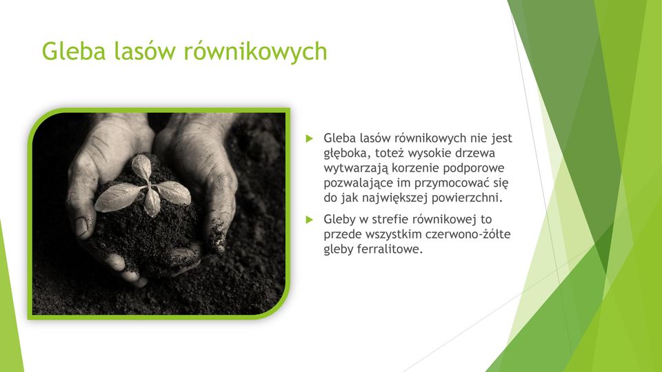 pozwalające im przymocować się do jak największej powierzchni.