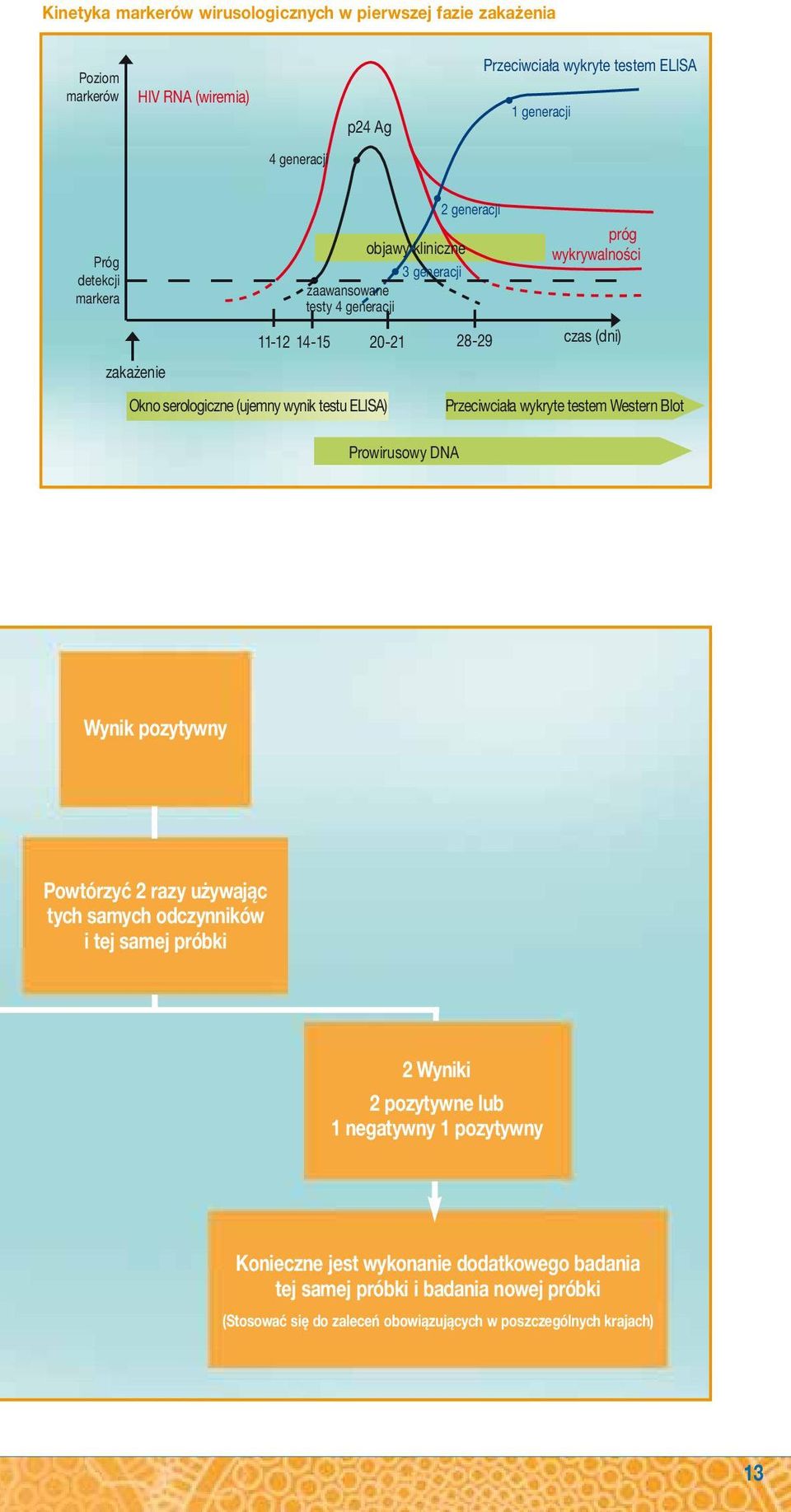 testu ELISA) Przeciwciała wykryte testem Western Blot Prowirusowy DNA Wynik pozytywny Powtórzyć 2 razy używając tych samych odczynników i tej samej próbki 2 Wyniki 2 pozytywne