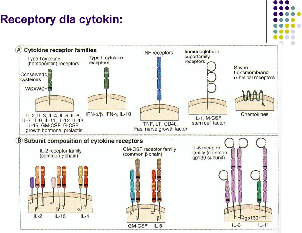 cytokin: