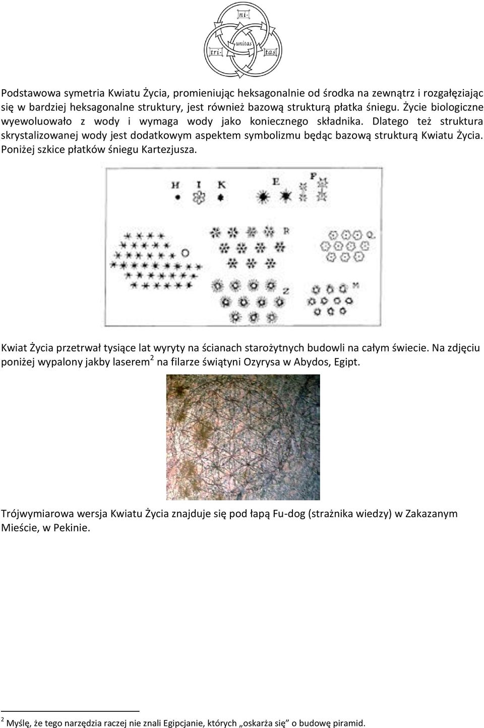 Poniżej szkice płatków śniegu Kartezjusza. Kwiat Życia przetrwał tysiące lat wyryty na ścianach starożytnych budowli na całym świecie.