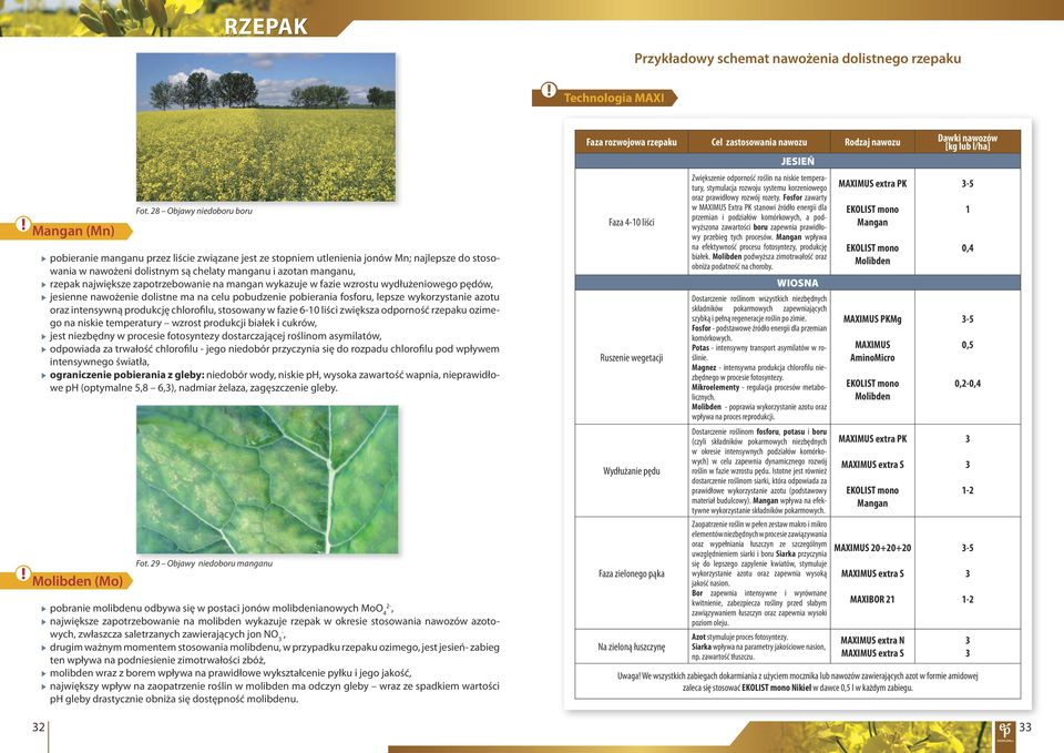 fosforu, lepsze wykorzystanie azotu oraz intensywną produkcję chlorofilu, stosowany w fazie 6-0 liści zwiększa odporność rzepaku ozimego na niskie temperatury wzrost produkcji białek i cukrów, jest