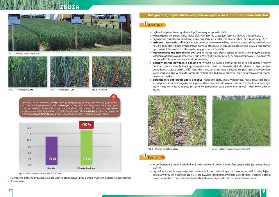 Należy pamiętać, że nawet kilkudniowe wydłużenie czasu asymilacji przez liść flagowy wpływa znacząco na parametry jakościowe plonu. Fot. 2 Polskie Zboża Modrze 20 Fot. 3 Technologia MAXI Fot.