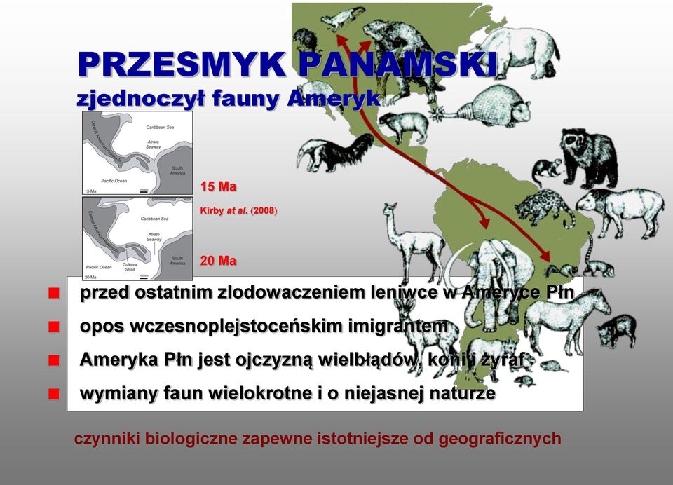 wczesnoplejstoceńskim imigrantem Ameryka Płn jest ojczyzną wielbłądów, koni i