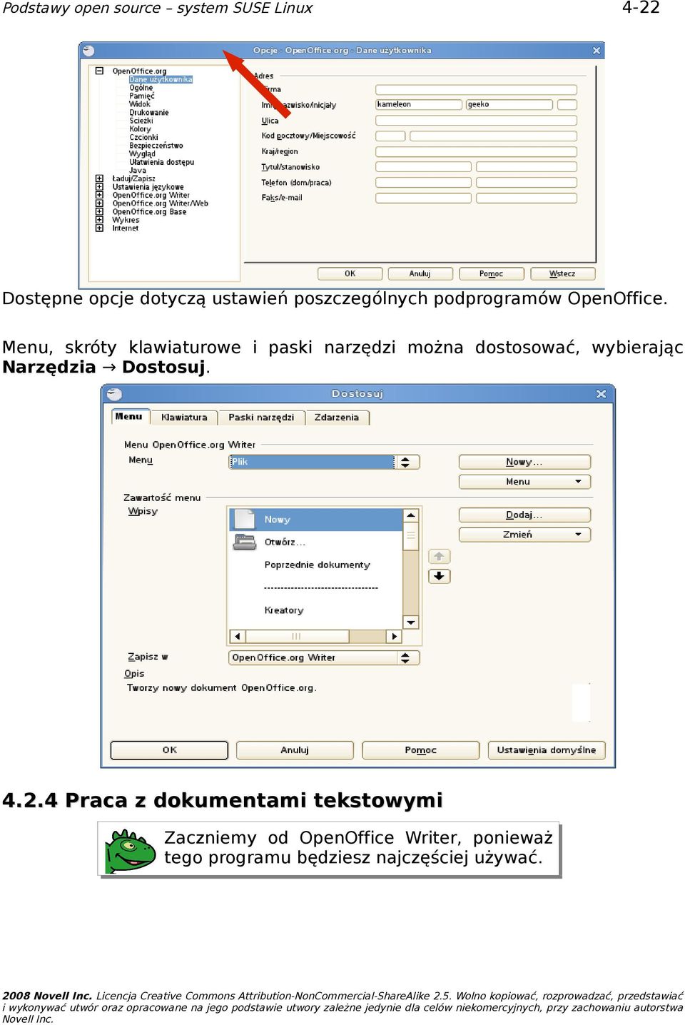 Menu, skróty klawiaturowe i paski narzędzi można dostosować, wybierając