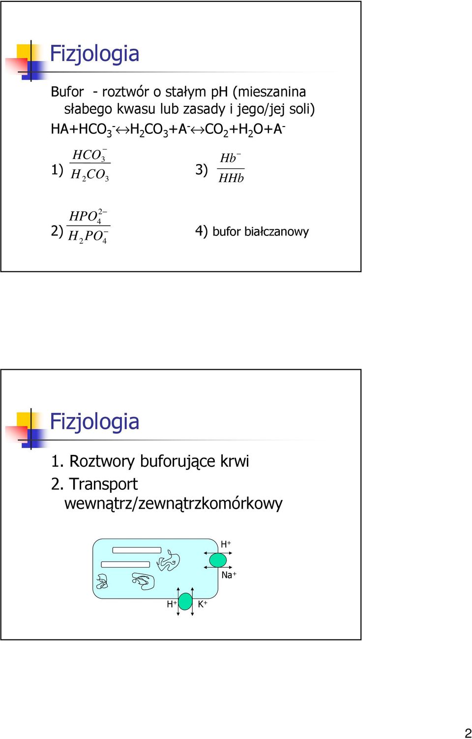 HPO4 ) H PO 4) bufor białczanowy 4 Hb HHb Fizjologia 1.