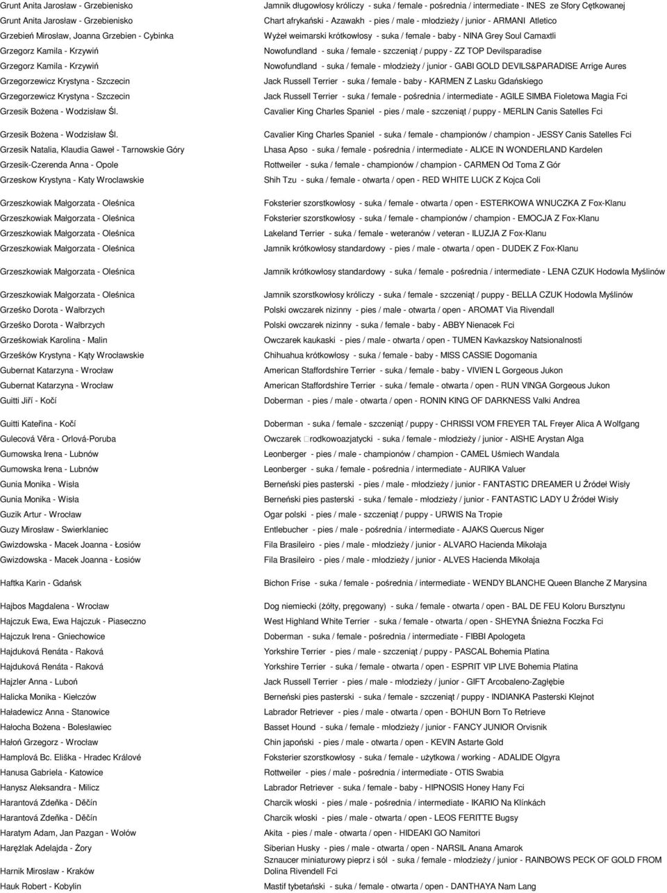 Jamnik długowłosy króliczy - suka / female - pośrednia / intermediate - INES ze Sfory Cętkowanej Chart afrykański - Azawakh - pies / male - młodzieŝy / junior - ARMANI Atletico WyŜeł weimarski