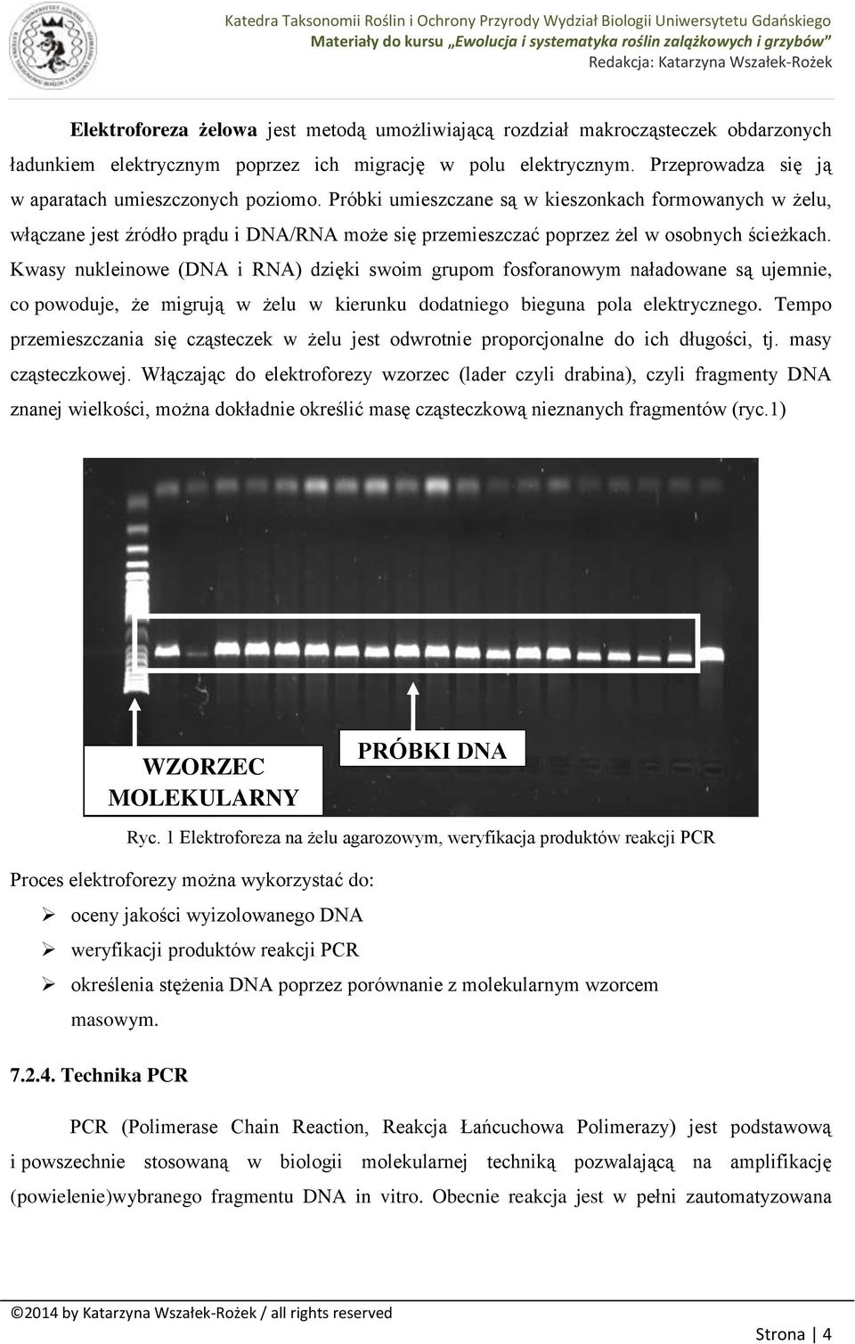 Próbki umieszczane są w kieszonkach formowanych w żelu, włączane jest źródło prądu i DNA/RNA może się przemieszczać poprzez żel w osobnych ścieżkach.