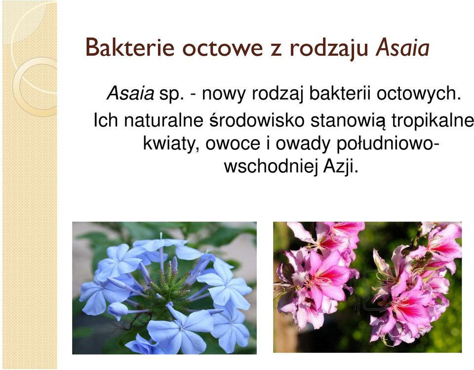 Ich naturalne środowisko stanowią