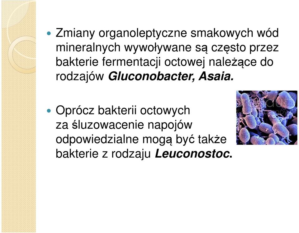 Gluconobacter, Asaia.