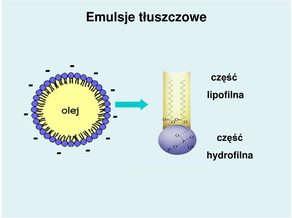 lipofilna - 