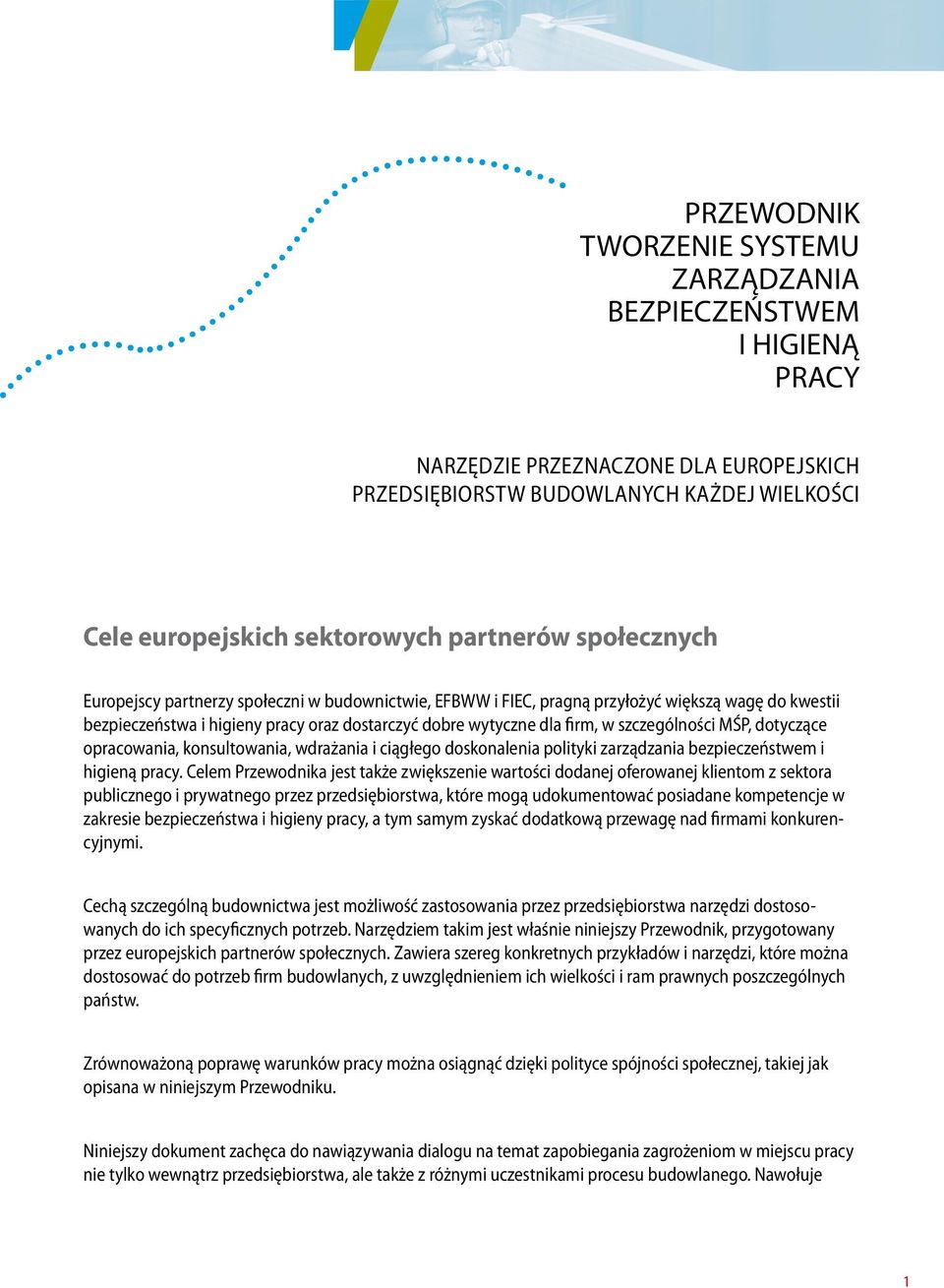 szczególności MŚP, dotyczące opracowania, konsultowania, wdrażania i ciągłego doskonalenia polityki zarządzania bezpieczeństwem i higieną pracy.