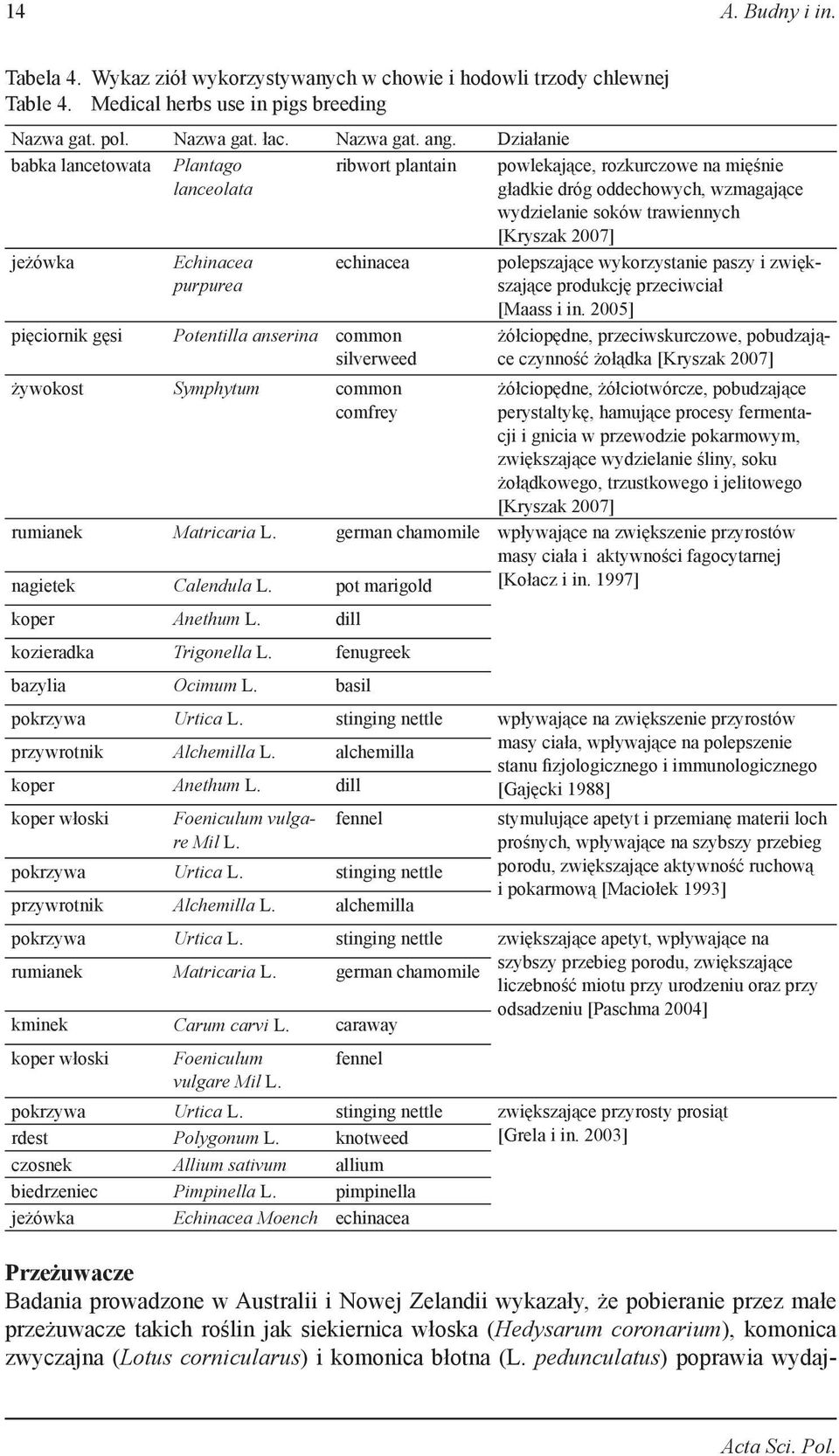 Echinacea purpurea echinacea pięciornik gęsi Potentilla anserina common silverweed żywokost Symphytum common comfrey polepszające wykorzystanie paszy i zwiększające produkcję przeciwciał [Maass i in.