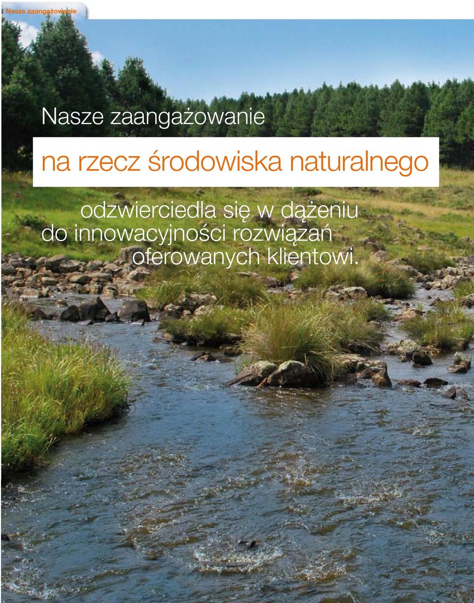 naturalnego odzwierciedla się w