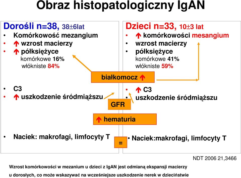 C3 uszkodzenie śródmiąższu GFR hematuria Naciek: makrofagi, limfocyty T = Naciek:makrofagi, limfocyty T Wzrost komórkowości w mezanium u