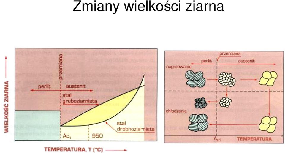 ziarna