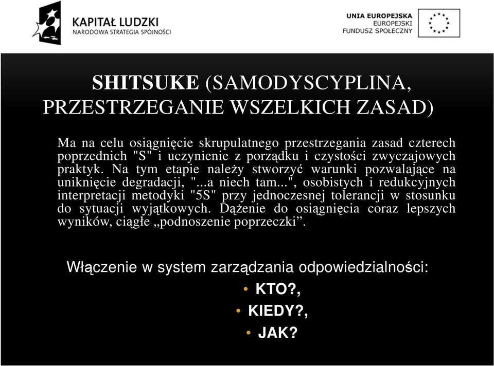 ..a niech tam...", osobistych i redukcyjnych interpretacji metodyki "5S" przy jednoczesnej tolerancji w stosunku do sytuacji wyjątkowych.