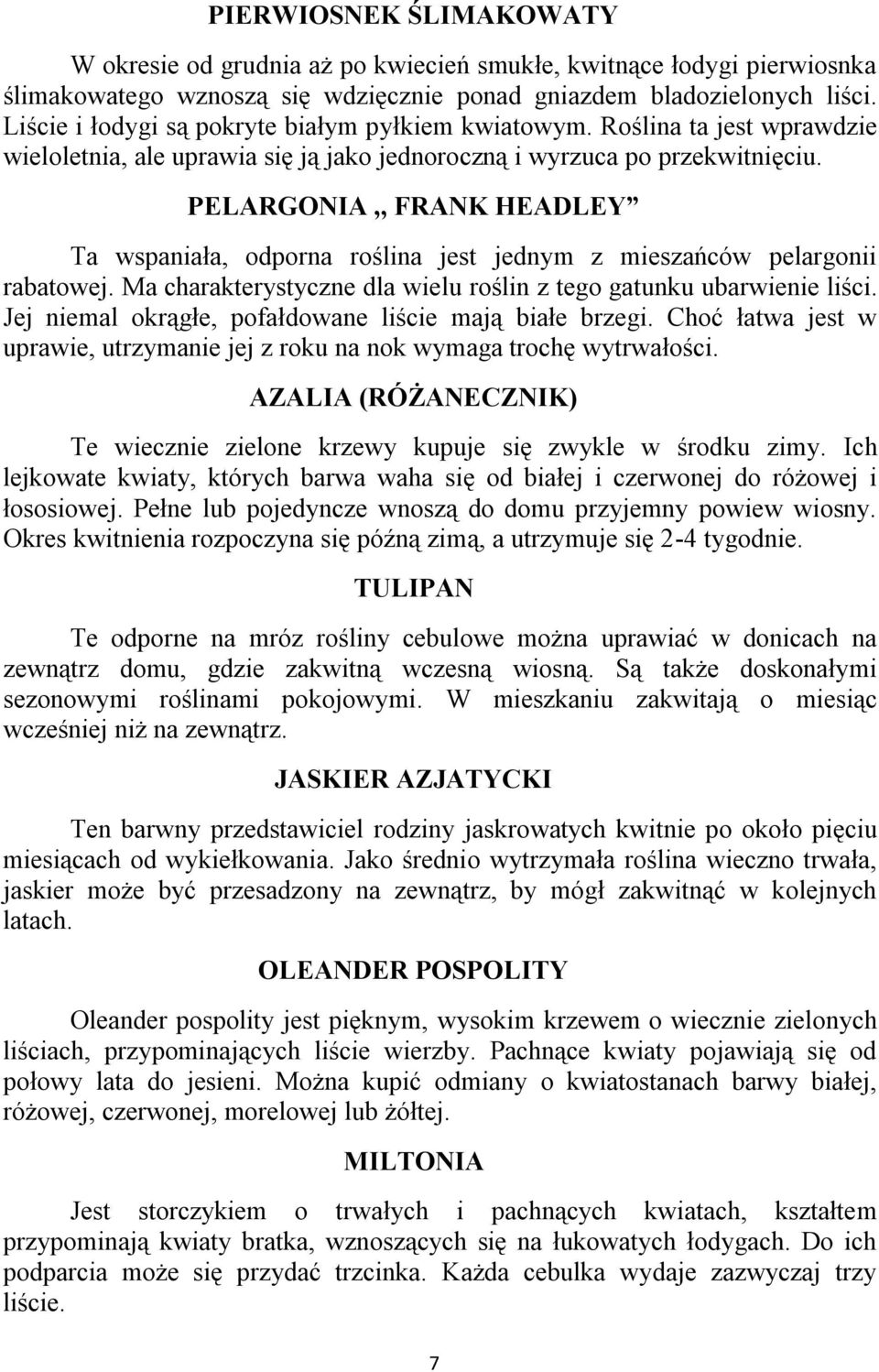 PELARGONIA,, FRANK HEADLEY Ta wspaniała, odporna roślina jest jednym z mieszańców pelargonii rabatowej. Ma charakterystyczne dla wielu roślin z tego gatunku ubarwienie liści.