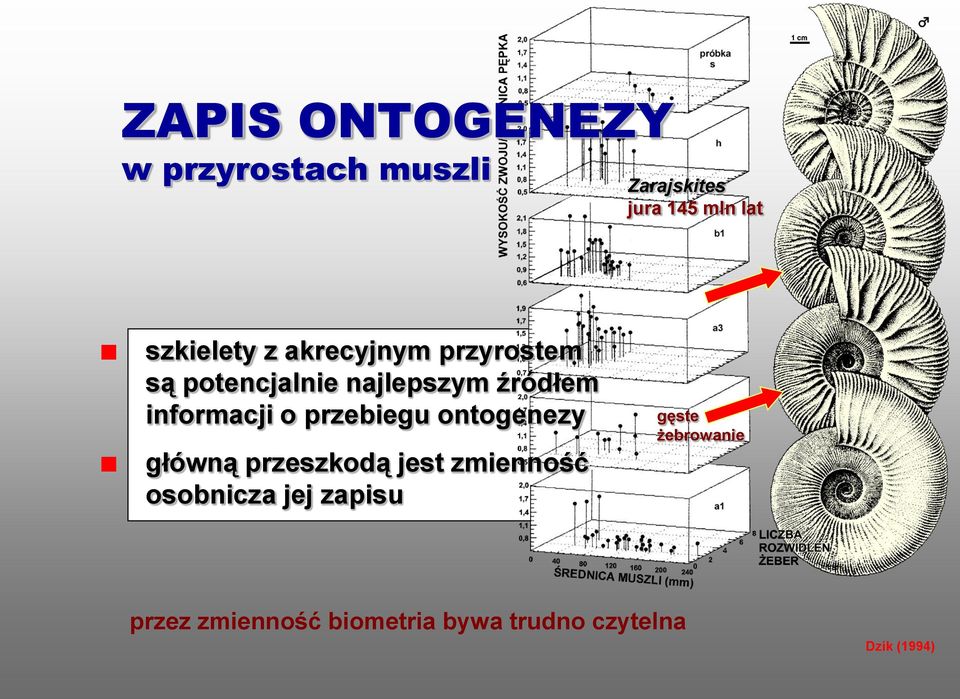 informacji o przebiegu ontogenezy główną przeszkodą jest zmienność