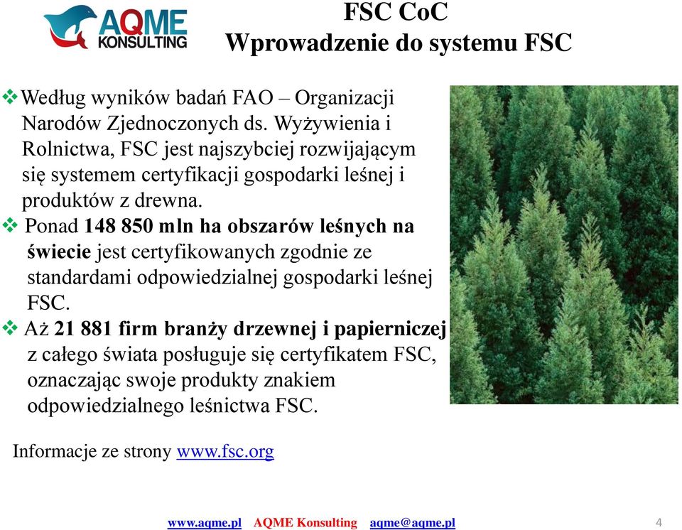 Ponad 148 850 mln ha obszarów leśnych na świecie jest certyfikowanych zgodnie ze standardami odpowiedzialnej gospodarki leśnej FSC.