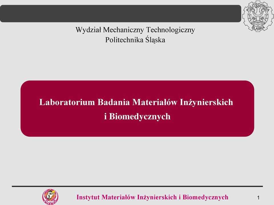 Materiałów Inżynierskich i Biomedycznych