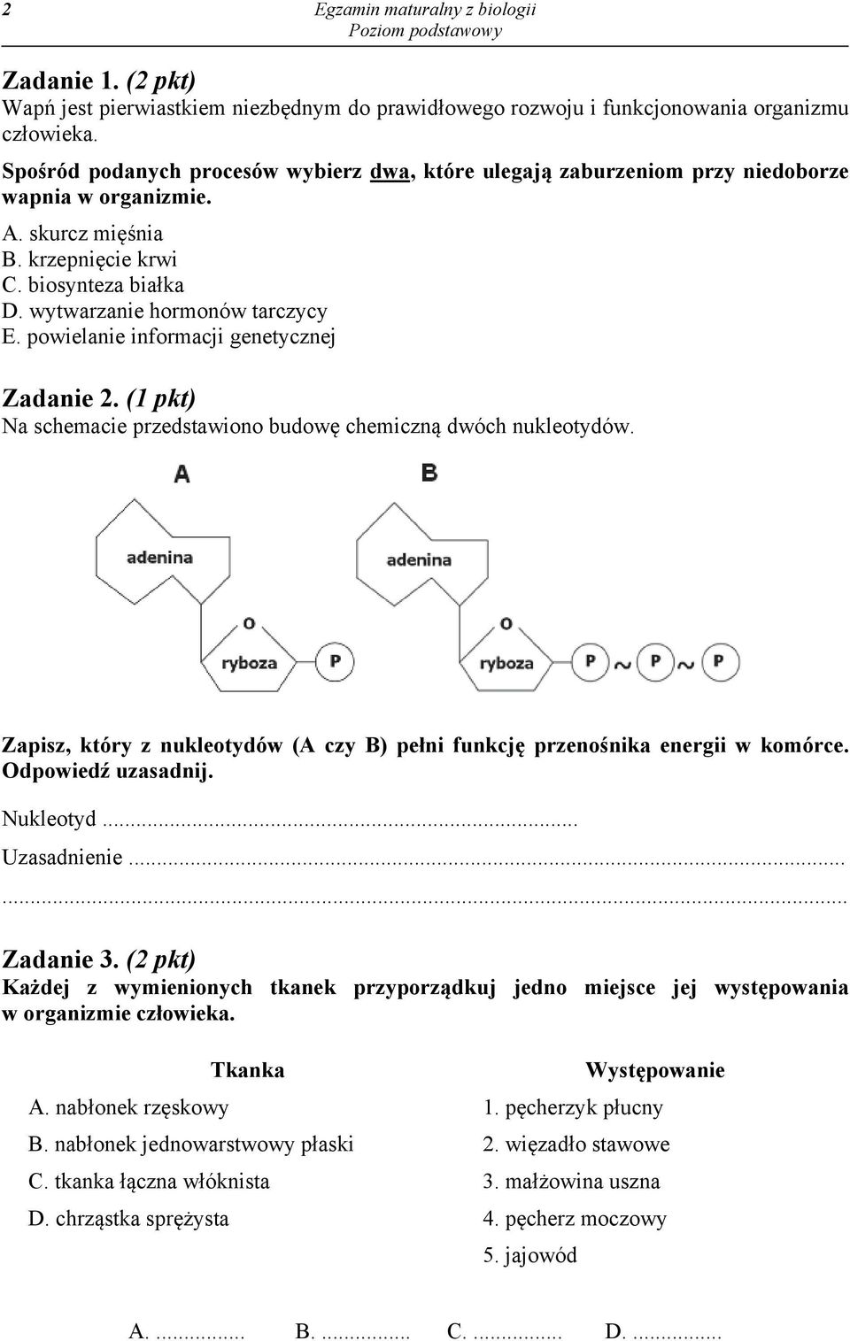 powielanie informacji genetycznej Zadanie 2. (1 pkt) Na schemacie przedstawiono budowę chemiczną dwóch nukleotydów. Zapisz, który z nukleotydów (A czy B) pełni funkcję przenośnika energii w komórce.