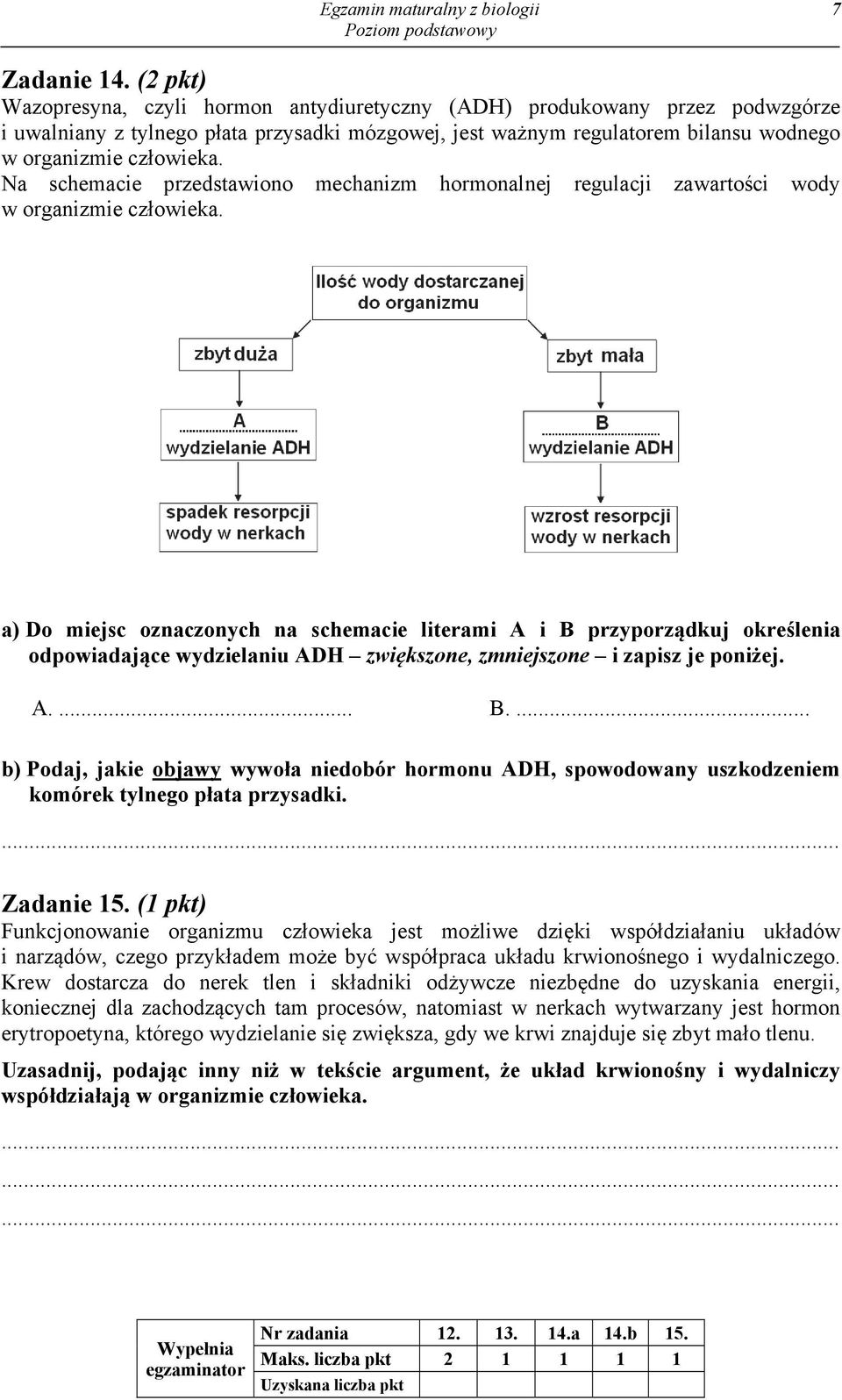 Na schemacie przedstawiono mechanizm hormonalnej regulacji zawartości wody w organizmie człowieka.