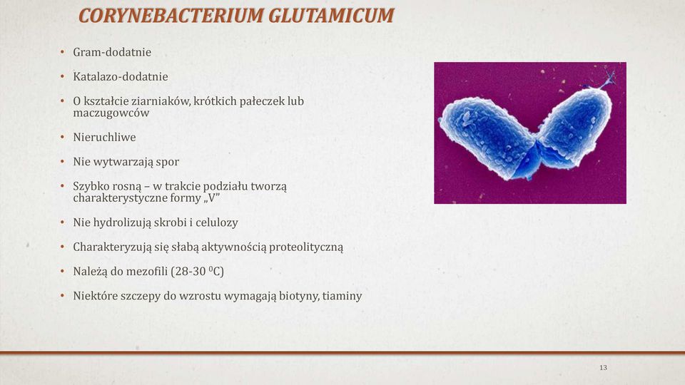charakterystyczne formy V Nie hydrolizują skrobi i celulozy Charakteryzują się słabą aktywnością