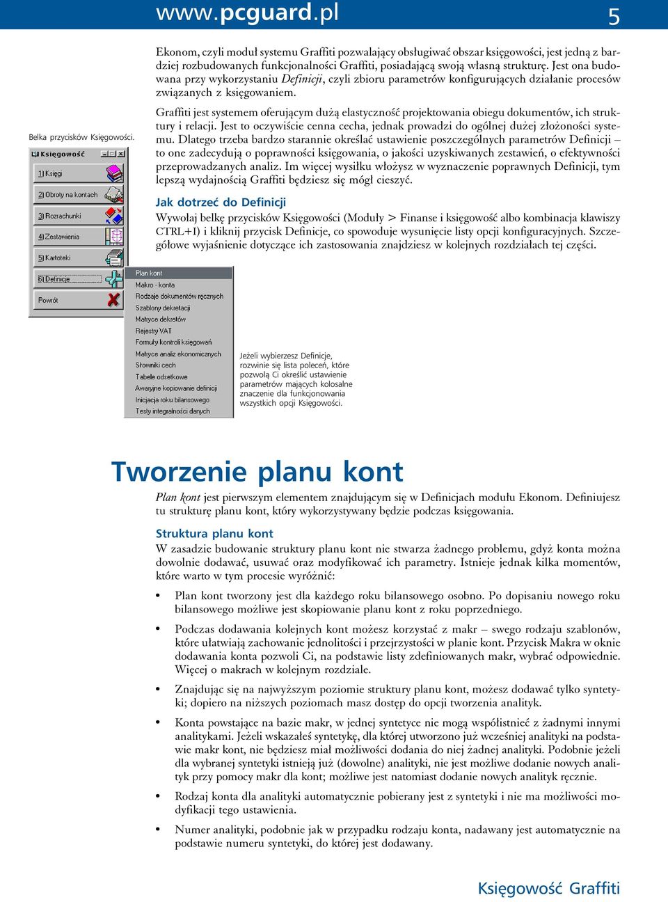 Graffiti jest systemem oferującym dużą elastyczność projektowania obiegu dokumentów, ich struktury i relacji. Jest to oczywiście cenna cecha, jednak prowadzi do ogólnej dużej złożoności systemu.