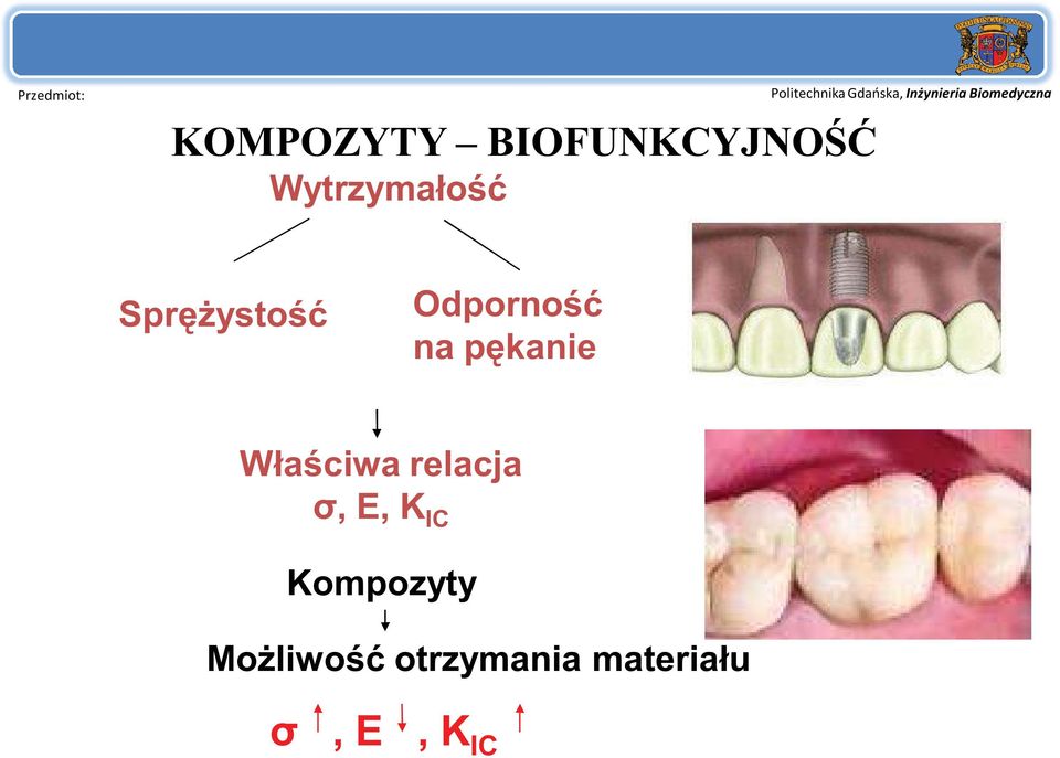 Właściwa relacja σ, E, K IC Kompozyty