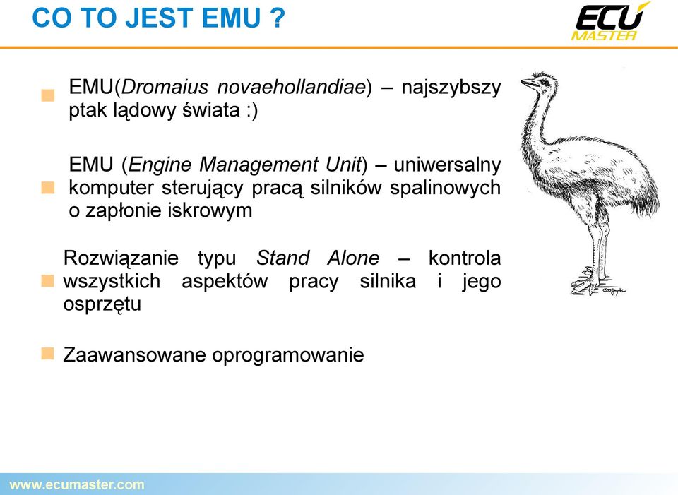 Management Unit) uniwersalny komputer sterujący pracą silników spalinowych