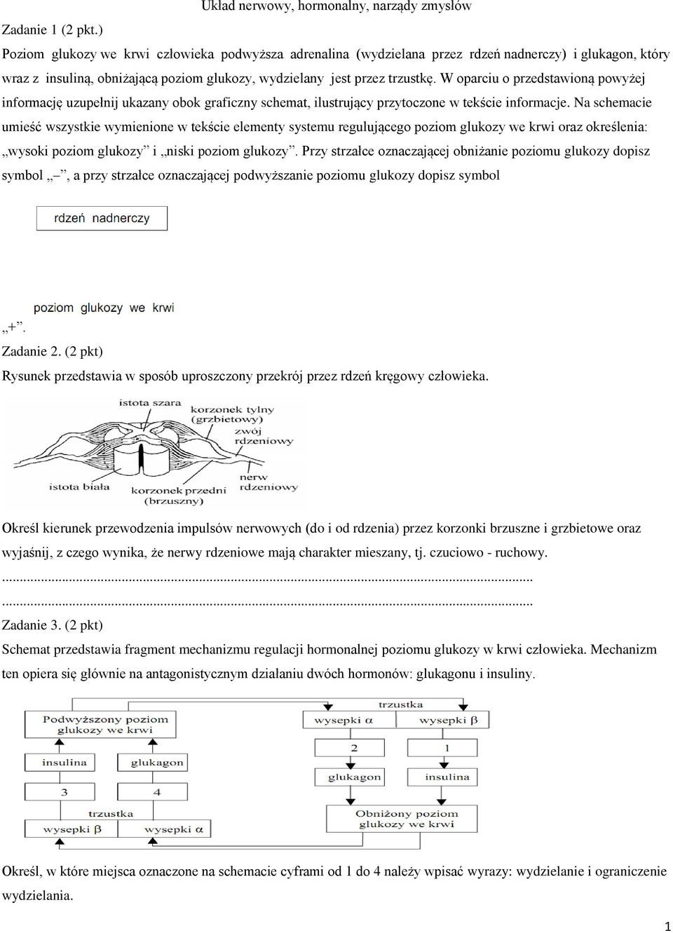 W oparciu o przedstawioną powyżej informację uzupełnij ukazany obok graficzny schemat, ilustrujący przytoczone w tekście informacje.