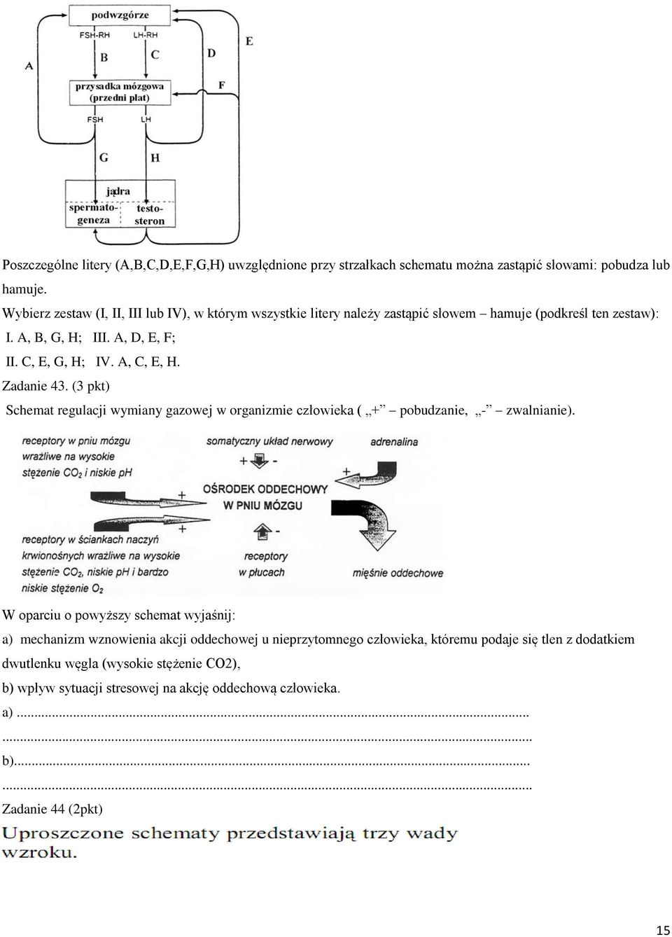 A, C, E, H. Zadanie 43. (3 pkt) Schemat regulacji wymiany gazowej w organizmie człowieka ( + pobudzanie, - zwalnianie).