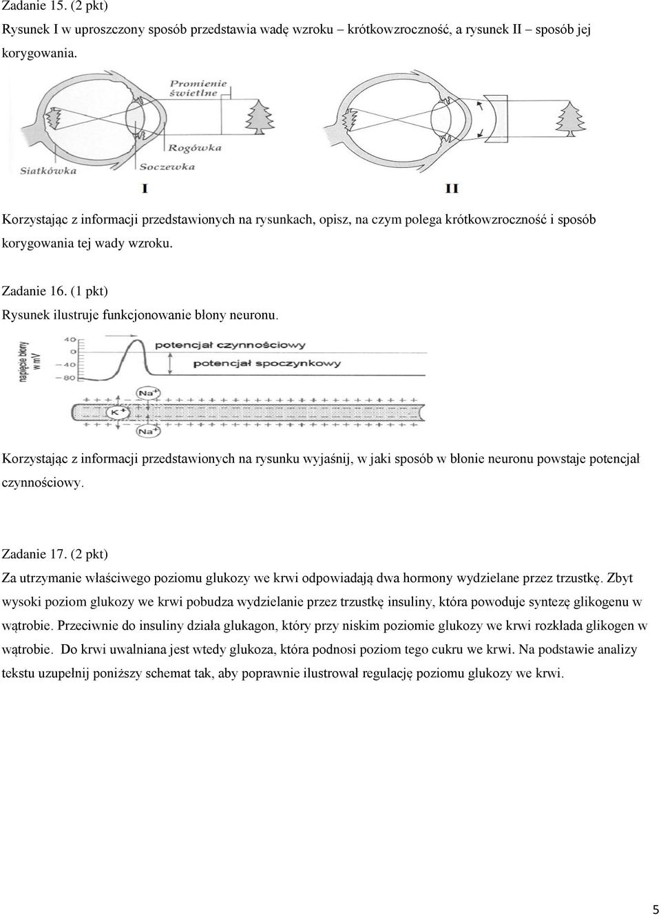 Korzystając z informacji przedstawionych na rysunku wyjaśnij, w jaki sposób w błonie neuronu powstaje potencjał czynnościowy. Zadanie 17.