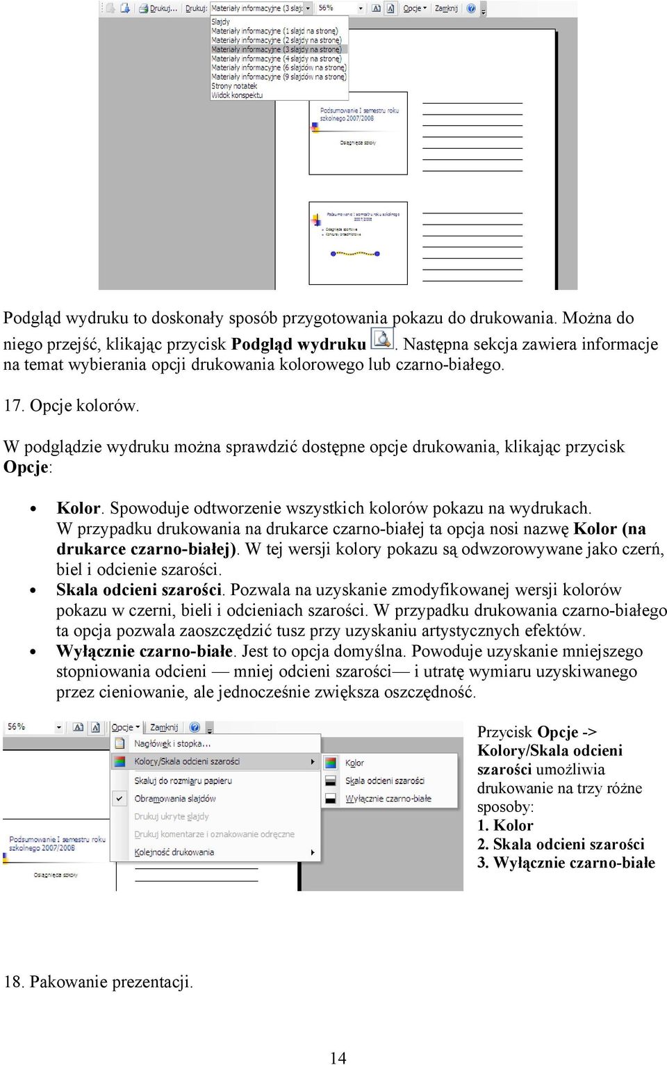 W podglądzie wydruku można sprawdzić dostępne opcje drukowania, klikając przycisk Opcje: Kolor. Spowoduje odtworzenie wszystkich kolorów pokazu na wydrukach.