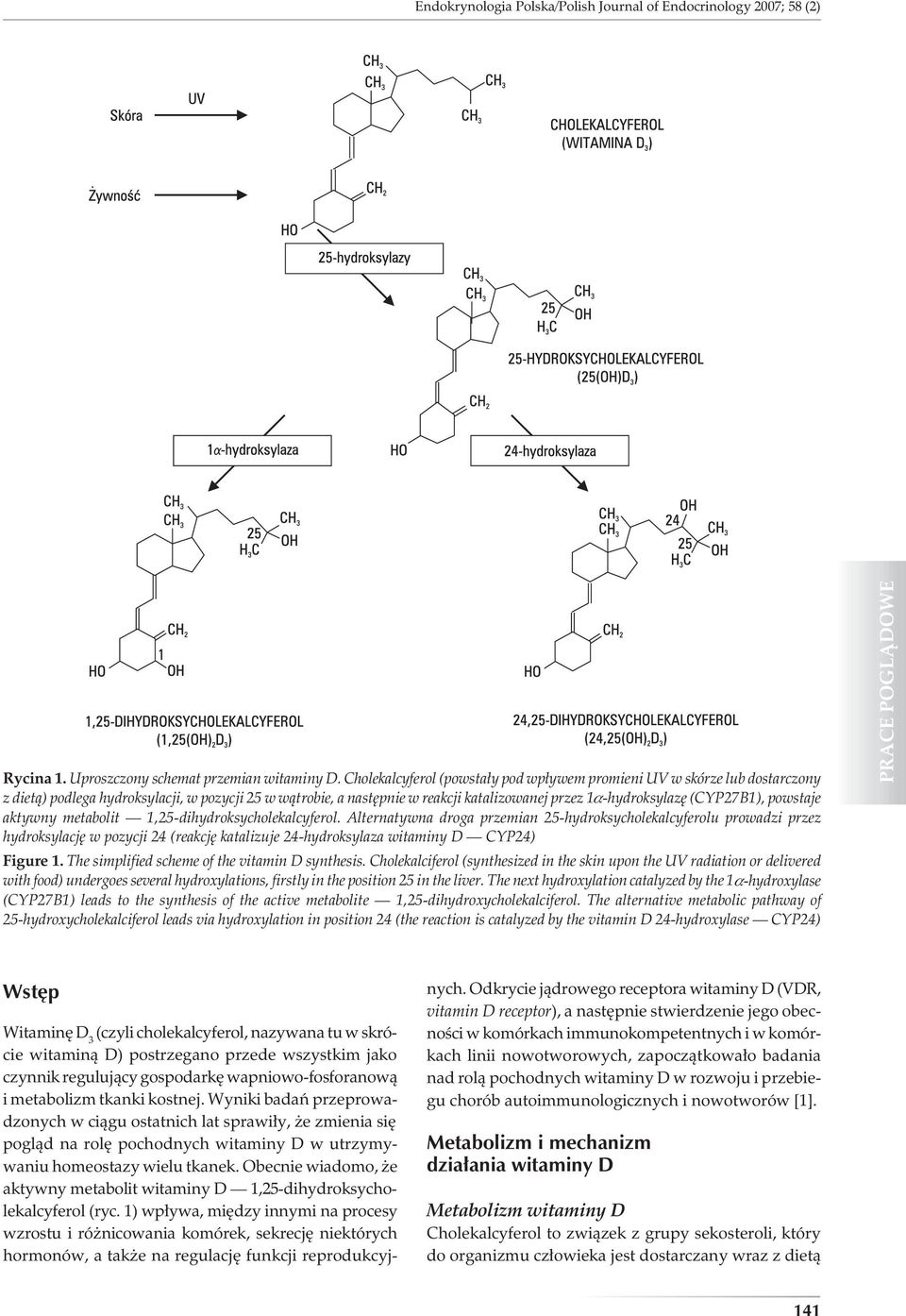 (CYP27B1), powstaje aktywny metabolit 1,25-dihydroksycholekalcyferol.