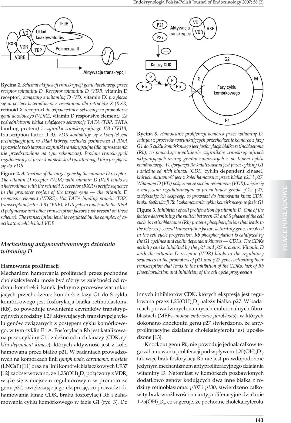 sekwencji w promotorze genu docelowego (VDRE, vitamin D responsive element).