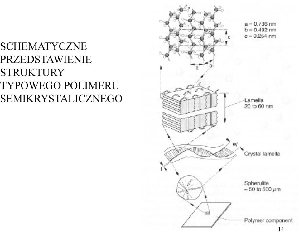 STRUKTURY TYPOWEGO