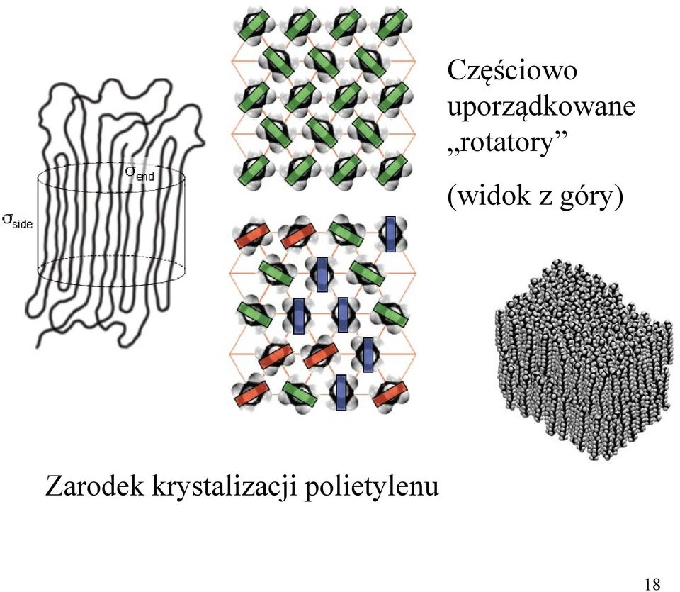 rotatory (widok z