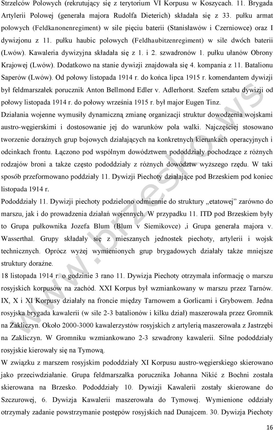 Kawaleria dywizyjna składała się z 1. i 2. szwadronów 1. pułku ułanów Obrony Krajowej (Lwów). Dodatkowo na stanie dywizji znajdowała się 4. kompania z 11. Batalionu Saperów (Lwów).