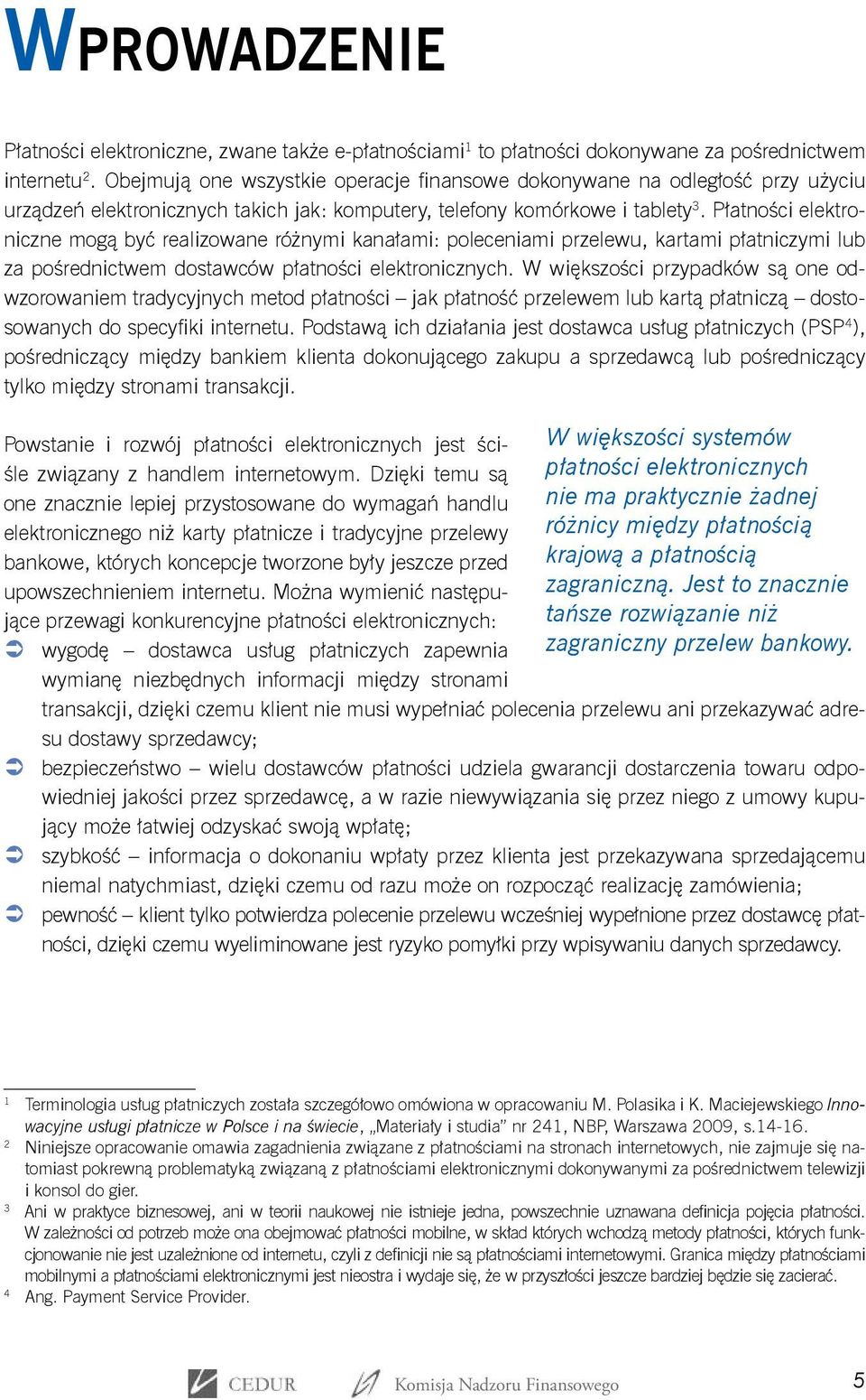 Płatności elektroniczne mogą być realizowane różnymi kanałami: poleceniami przelewu, kartami płatniczymi lub za pośrednictwem dostawców płatności elektronicznych.