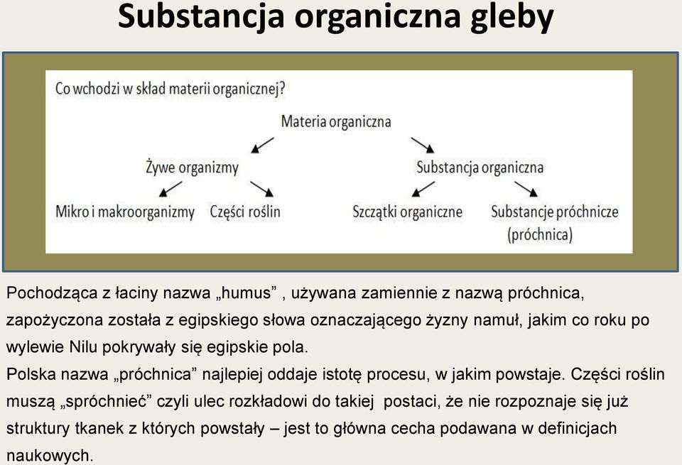 Polska nazwa próchnica najlepiej oddaje istotę procesu, w jakim powstaje.