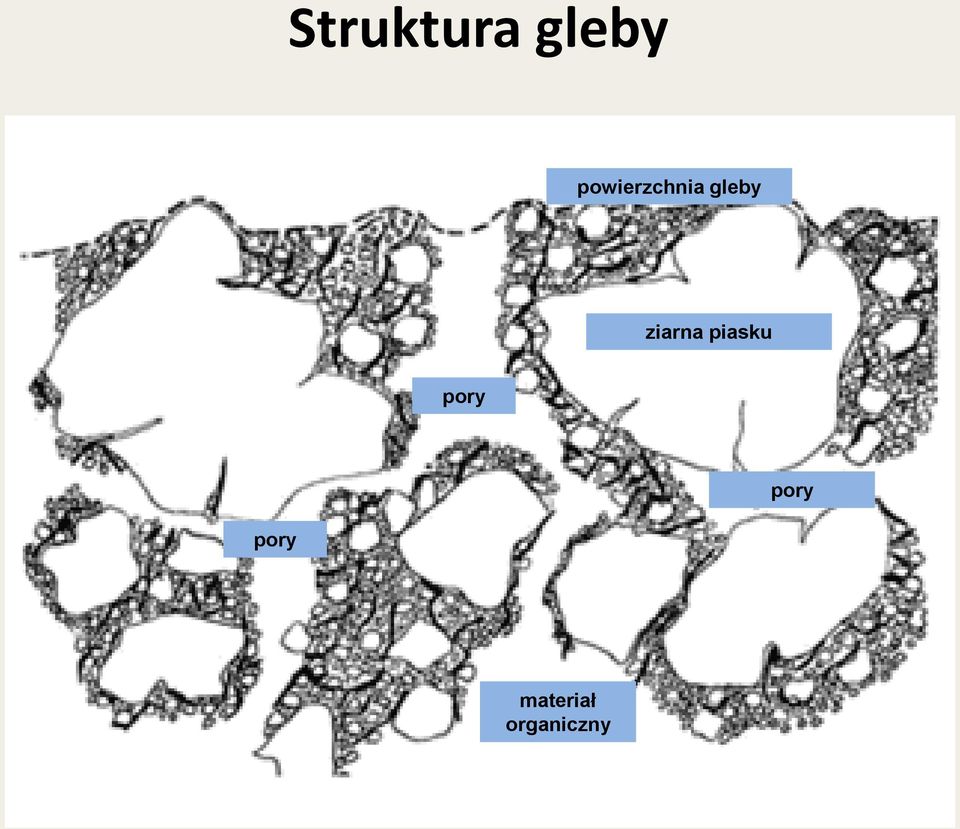 ziarna piasku pory
