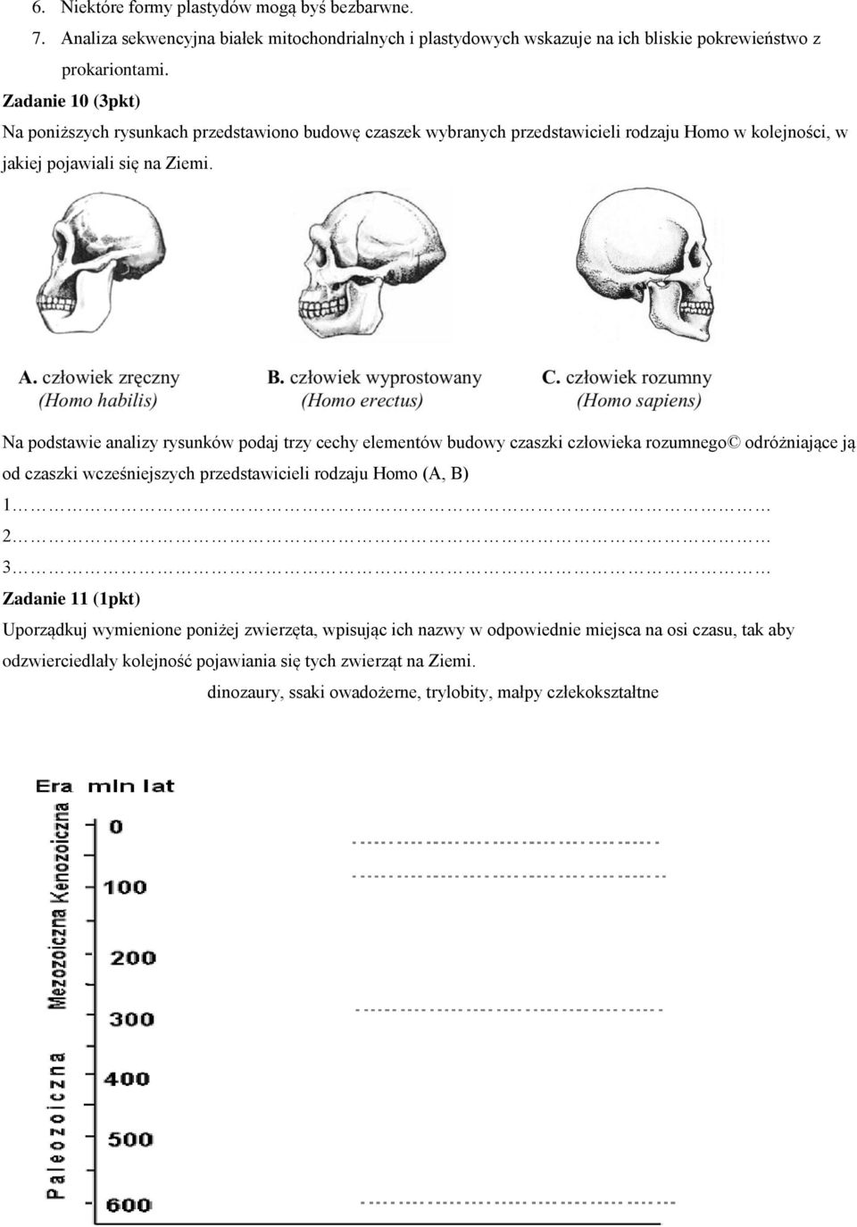 Na podstawie analizy rysunków podaj trzy cechy elementów budowy czaszki człowieka rozumnego odróżniające ją od czaszki wcześniejszych przedstawicieli rodzaju Homo (A, B) 1 2 3 Zadanie 11