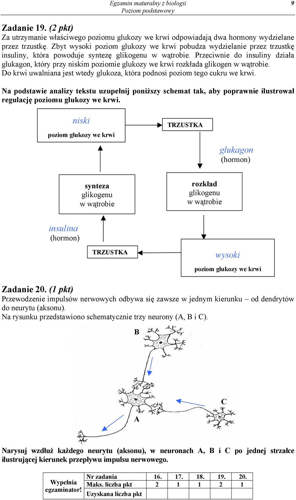 Przeciwnie do insuliny działa glukagon, który przy niskim poziomie glukozy we krwi rozkłada glikogen w wątrobie. Do krwi uwalniana jest wtedy glukoza, która podnosi poziom tego cukru we krwi.