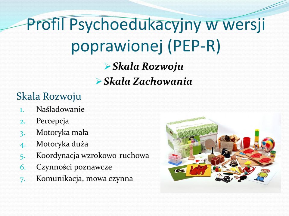 Percepcja 3. Motoryka mała 4. Motoryka duża 5.