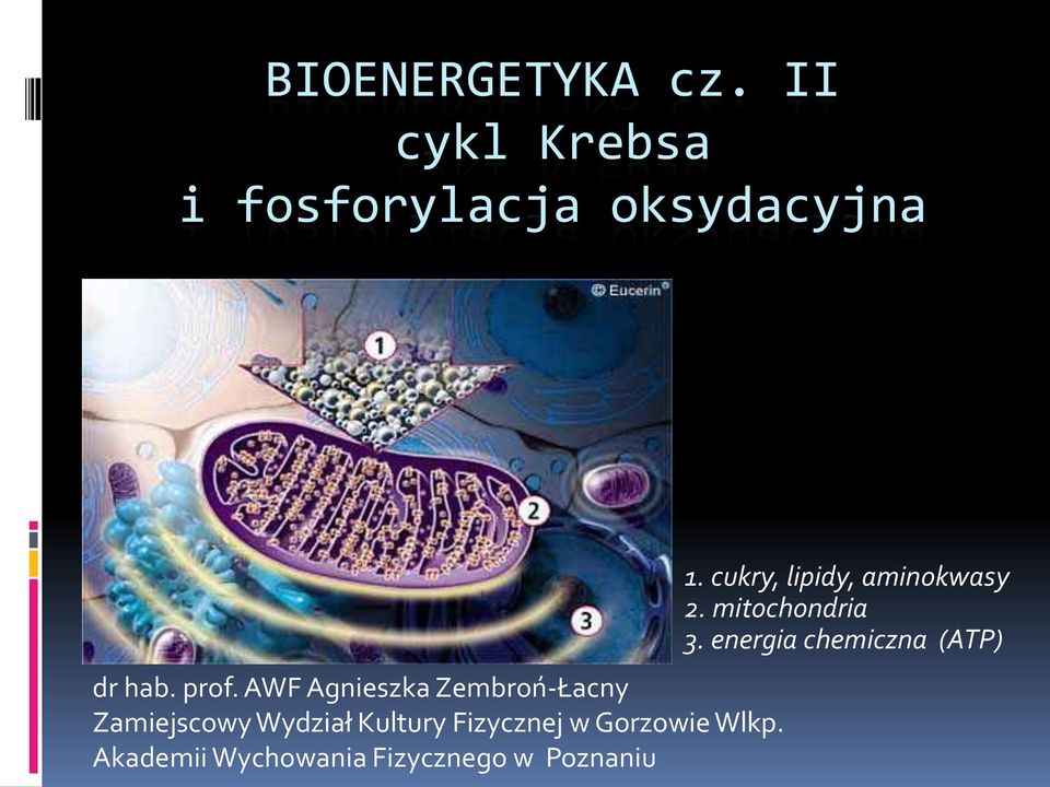 Fizycznej w Gorzowie Wlkp.