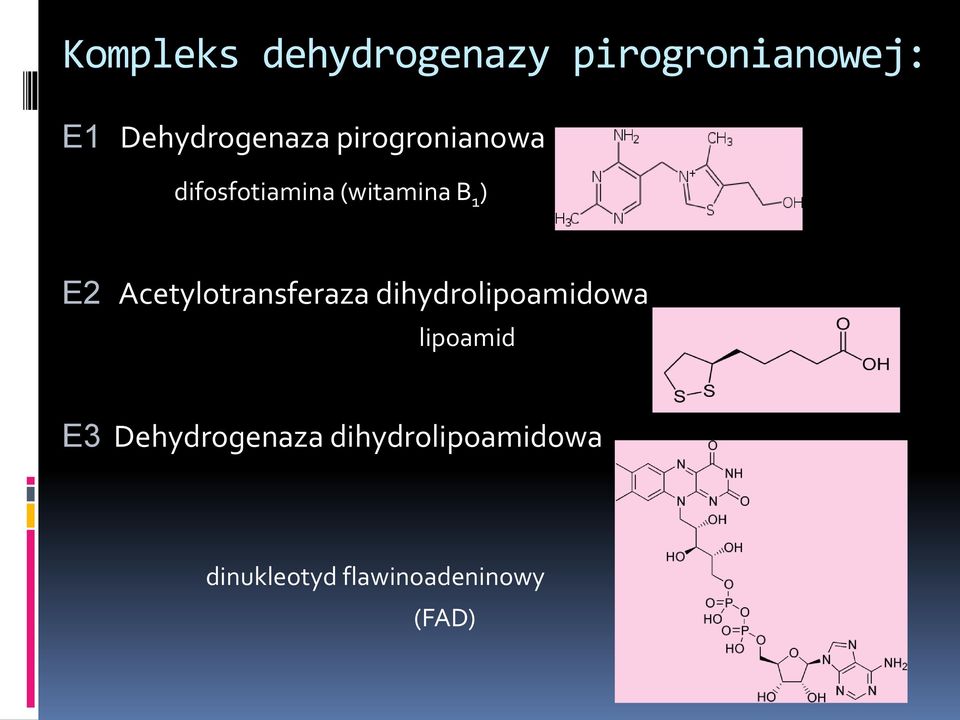 1 ) E2 Acetylotransferaza dihydrolipoamidowa lipoamid